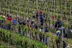 15° Cross Country Tra le Torri